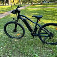 e bike Mountain e bike