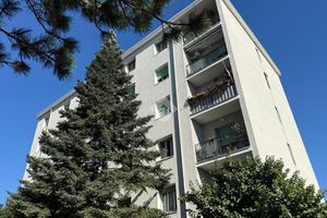 3 LOCALI A TRIESTE