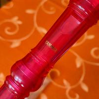 Flauti dolci per la scuola