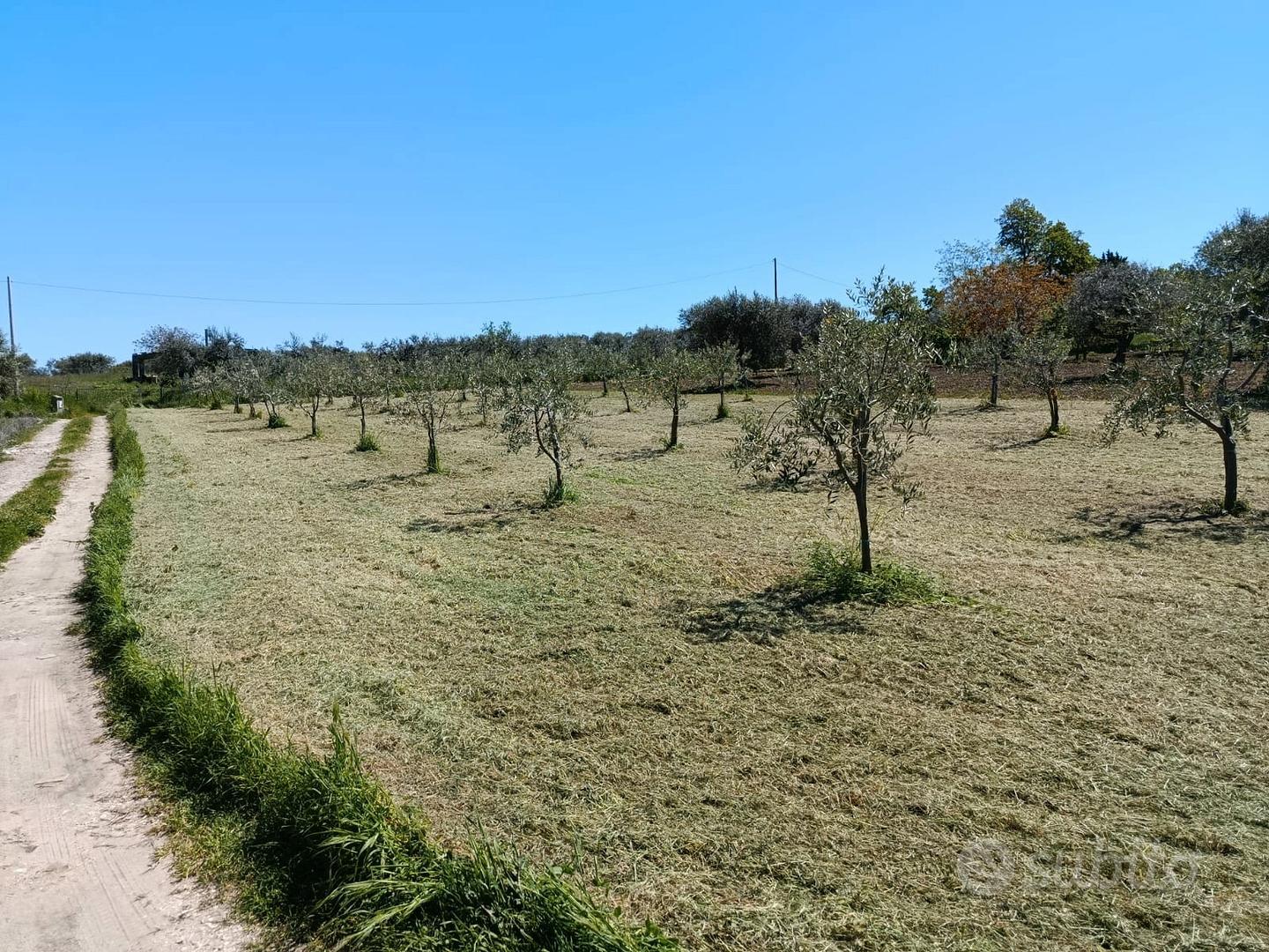 Terreni a Venosa - Vista 6