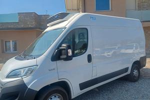 FIAT DUCATO FRIGO EURO 6