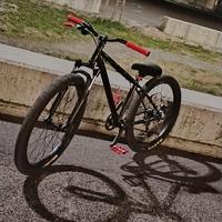 bicicletta 
