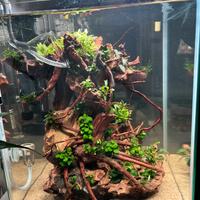 Acquario completo per salotti