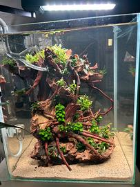 Acquario completo per salotti