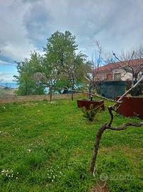 Casa indipendente vista mare