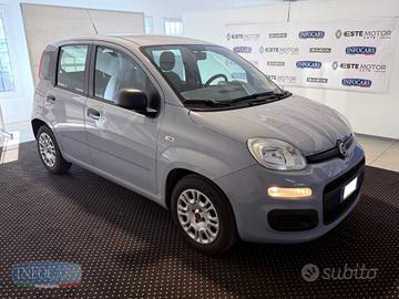 FIAT Panda 1.0 Hybrid 70 CV - NEOPATENTATI - PRO