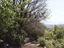 Immagine 26