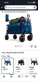 Carrello Spiaggia Ruote Grandi