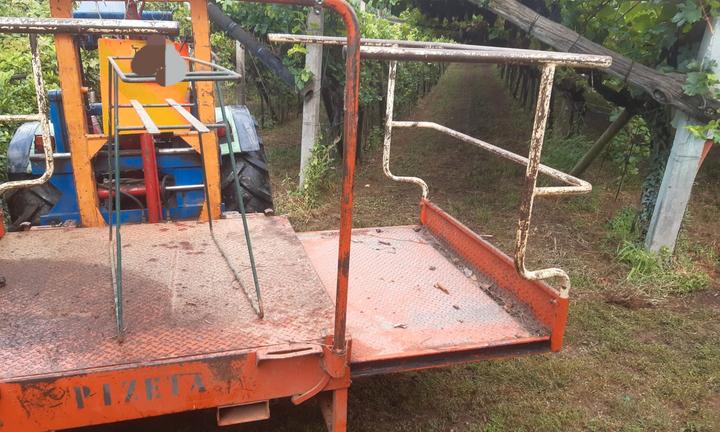 Piattaforma (pedana) per muletto