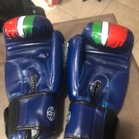 Guantoni boxe