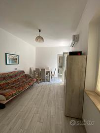Casa indipendente con cortile