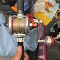 Accurate valiant 500 doppia velocità