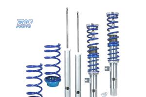 SOSPENSIONE FILETTATA BLUE LINE PER FORD FOCUS DAW