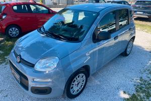 FIAT - Panda - 1.2 Easy - NEOPATENTATI - FINANZIAB