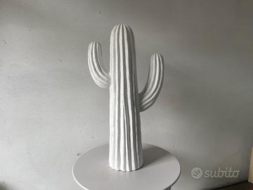 Cactus arredamento