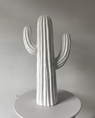Cactus arredamento