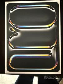 iPad pro M4 13 pollici