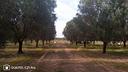 terreno-residenziale-manduria-1006vcg-