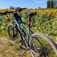 mtb Crow 29 
