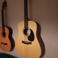 Chitarra acustica Ditson D-10