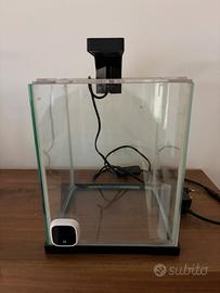Acquario