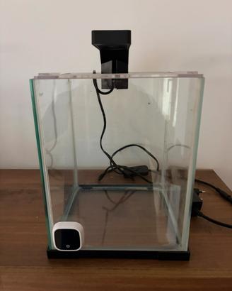 Acquario