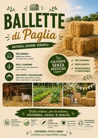 Ballette di paglia