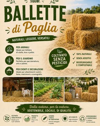 Ballette di paglia