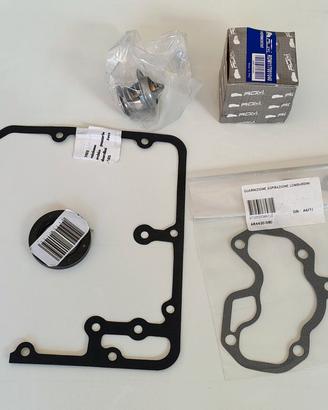 Kit modifica motore Lombardini microcar Ligier