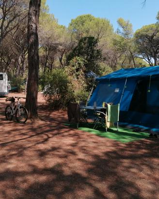 Tenda a casetta brunner cottage