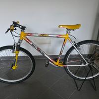 Mountain Bike Sintesi anni 90