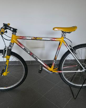 Mountain Bike Sintesi
