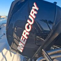 motore mercury orion 40/60