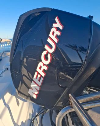 motore mercury orion 40/60