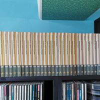 DVD I capolavori del cinema di guerra 