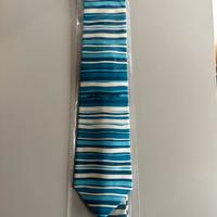 Coppia cravatte Ferragamo