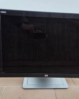 Monitor LCD Widescreen da 24 pollici HP w2408h