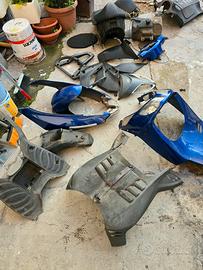 plastiche sportcity comprete 