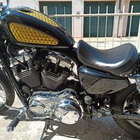 Harley-Davidson Sportster 1200 - 2010