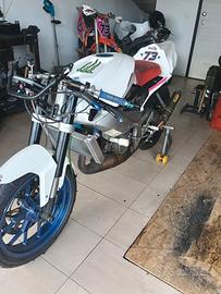 Aprilia RS 125