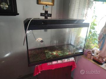 acquario Tenerife 88 by Askoll