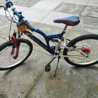 Bicicletta ragazzo 24 polici