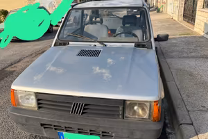 Panda 1100