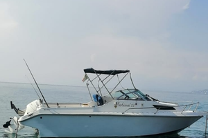 Barca pilotina 7 metri