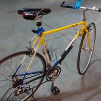Bici Giant