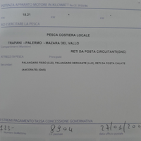 Licenza da pesca 1gt