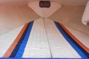 Tullio abbate sea star super