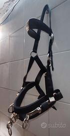 CAVEZZONE DA DOMA IN NYLON  CON FIBBIE INOX FULL