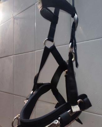 CAVEZZONE DA DOMA IN NYLON  CON FIBBIE INOX FULL