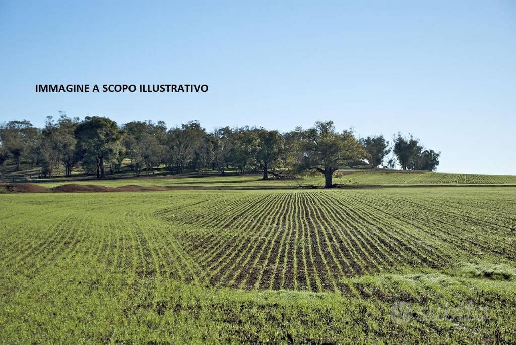 Terreno di 220000 m² a Marta - Altro